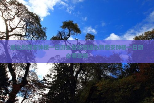 通化到西安钟楼一日游