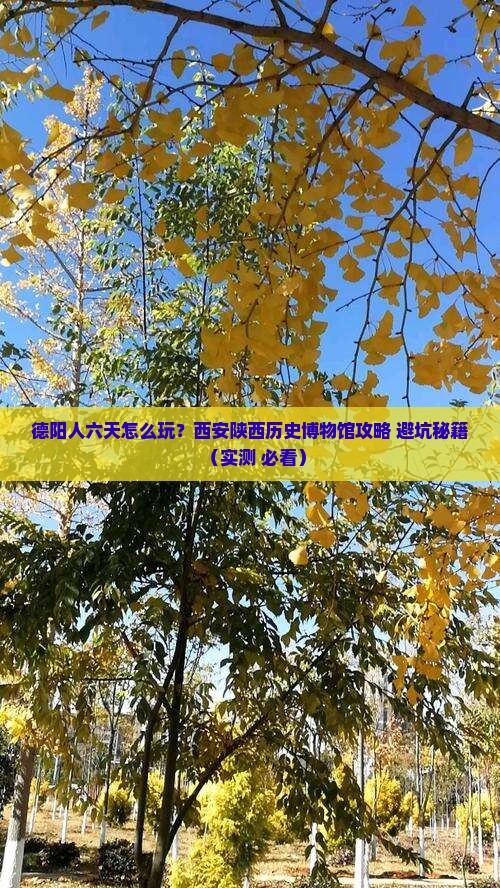 德阳到西安陕西历史博物馆六日游