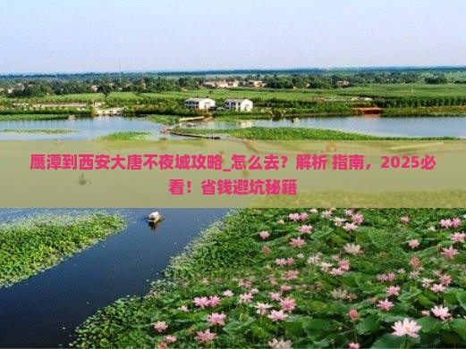 鹰潭到西安大唐不夜城攻略