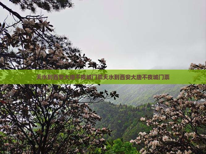 天水到西安大唐不夜城门票