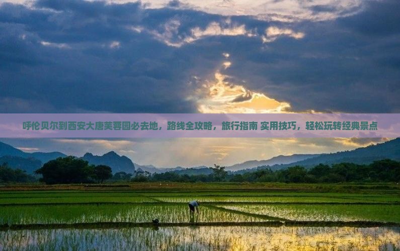 呼伦贝尔到西安大唐芙蓉园必去地