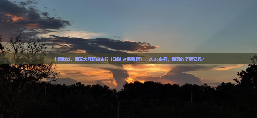 十堰去西安大雁塔自由团