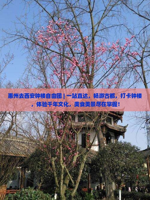 惠州去西安钟楼自由团
