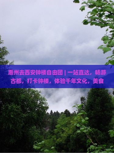 惠州去西安钟楼自由团