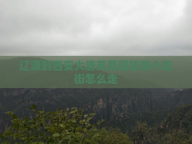 辽源到西安大唐芙蓉园旅游小吃