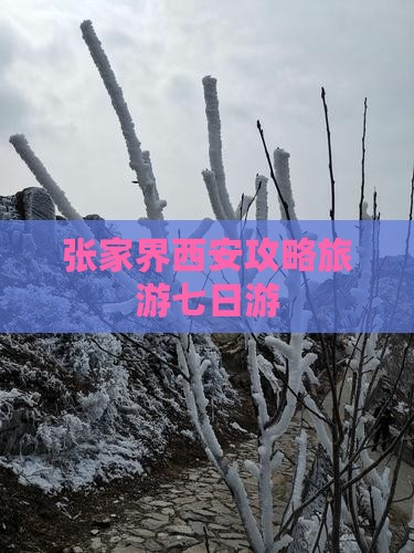 张家界去西安回民街七日游