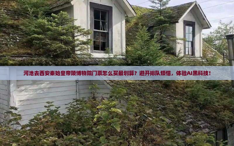 河池去西安秦始皇帝陵博物院门票