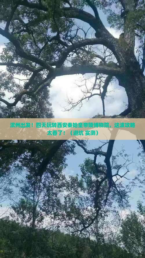 滨州去西安秦始皇帝陵博物院四日游
