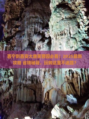 西宁到西安大唐芙蓉园哪里玩