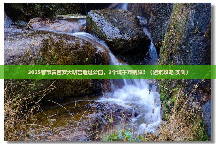 春节到西安大明宫国家遗址公园旅行社