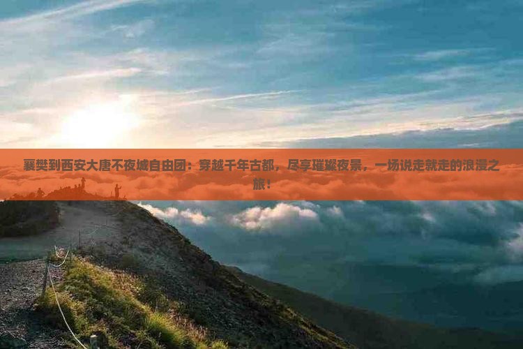 襄樊到西安大唐不夜城自由团