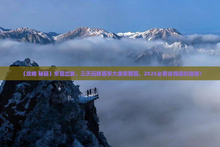 东营到西安大唐芙蓉园三日游