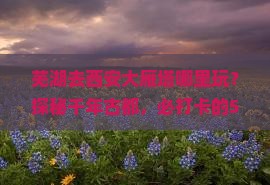 芜湖去西安大雁塔哪里玩