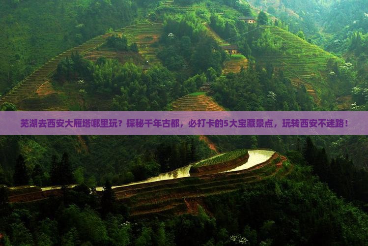 芜湖去西安大雁塔哪里玩