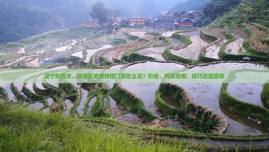 遂宁到西安陕西历史博物馆门票