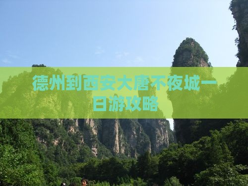 德州到西安大唐不夜城一日游