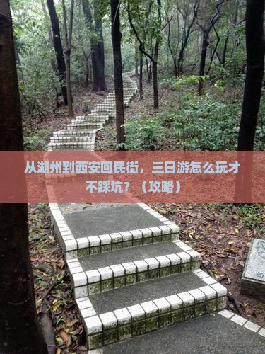 湖州去西安回民街三日游