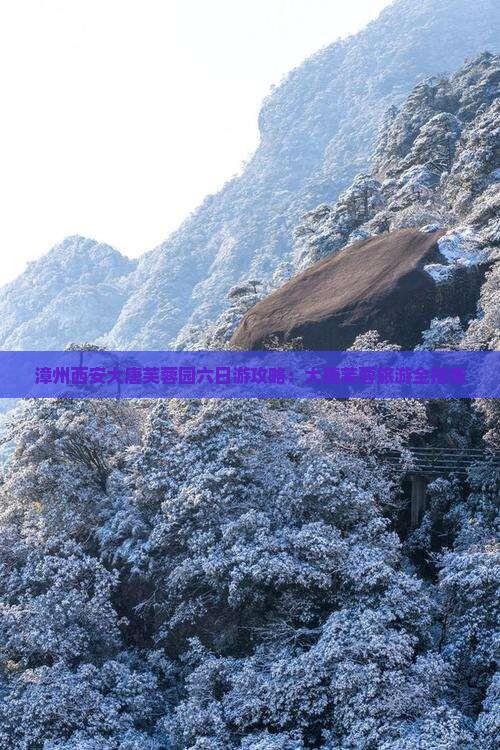 漳州去西安大唐芙蓉园六日游
