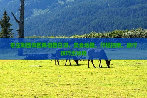 枣庄到西安回民街四日游