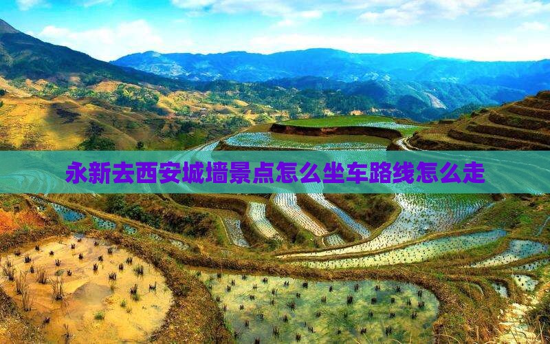 永新去西安城墙景点