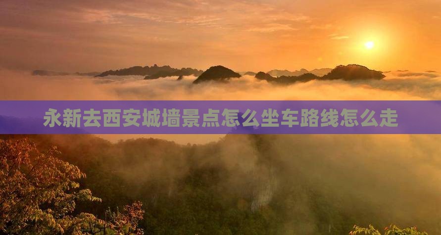永新去西安城墙景点