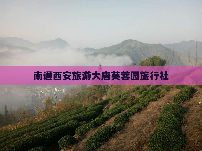 南通去西安大唐芙蓉园旅行社