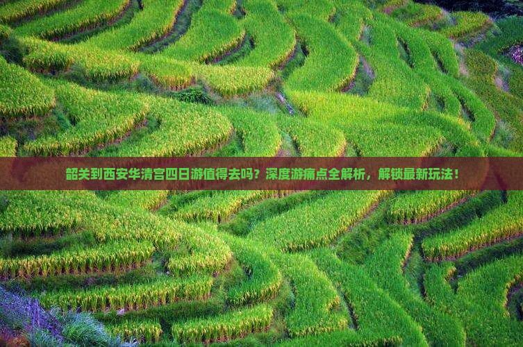 韶关到西安华清宫四日游