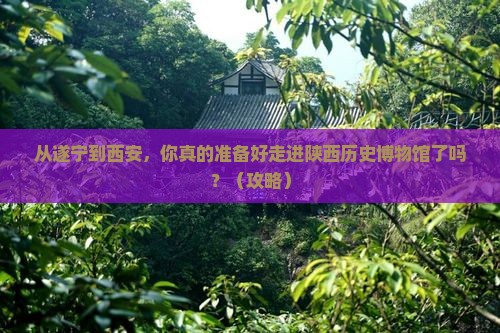 遂宁到西安陕西历史博物馆二日游
