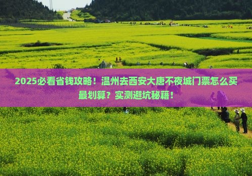 温州到西安大唐不夜城门票