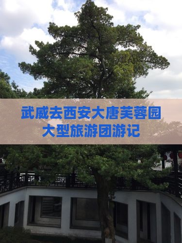 武威去西安大唐芙蓉园大型旅游团