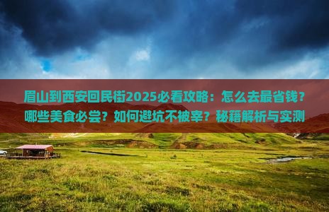 眉山到西安回民街攻略