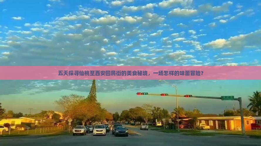 五天探寻仙桃至西安回民街的美食秘境，一场怎样的味蕾冒险？