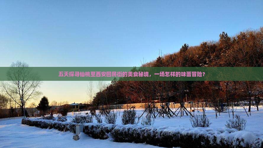 五天探寻仙桃至西安回民街的美食秘境，一场怎样的味蕾冒险？