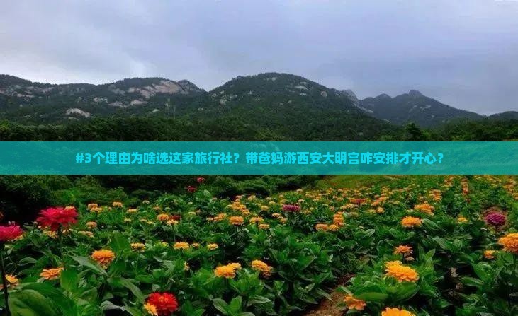 #3个理由为啥选这家旅行社？带爸妈游西安大明宫咋安排才开心？