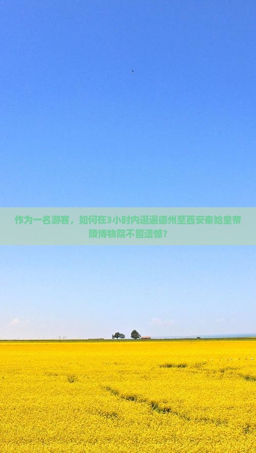 作为一名游客，如何在3小时内逛遍德州至西安秦始皇帝陵博物院不留遗憾？