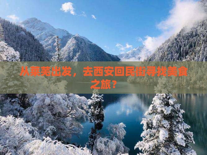 从莱芜出发，去西安回民街寻找美食之旅？