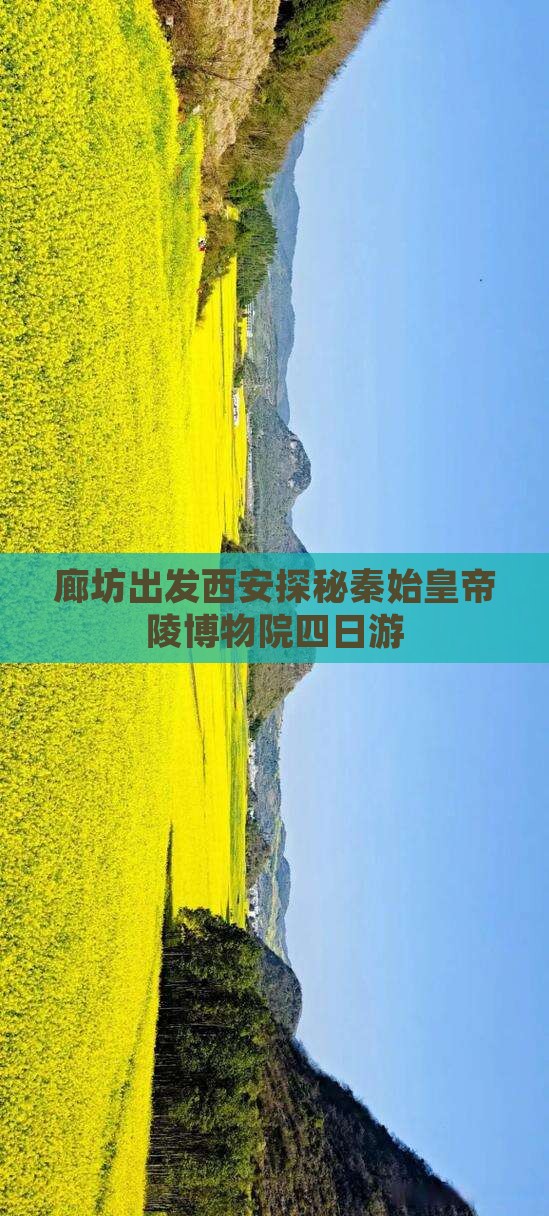 廊坊出发西安探秘秦始皇帝陵博物院四日游