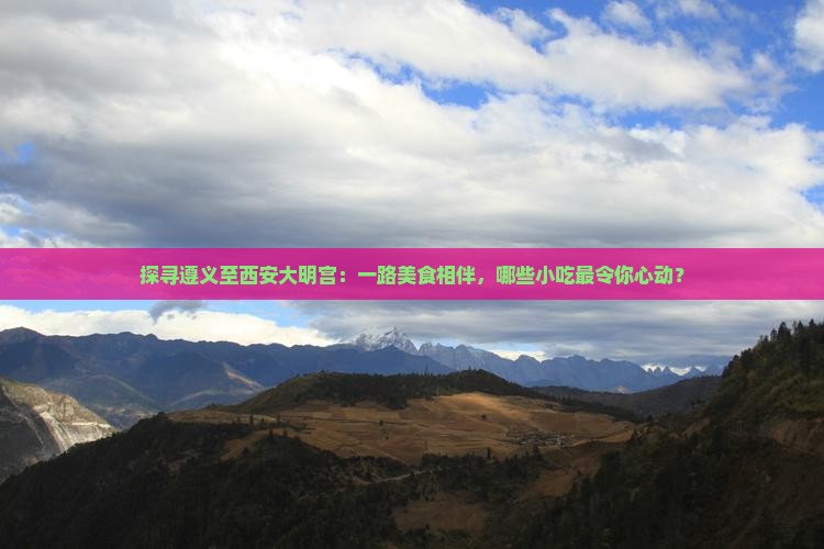 探寻遵义至西安大明宫：一路美食相伴，哪些小吃最令你心动？