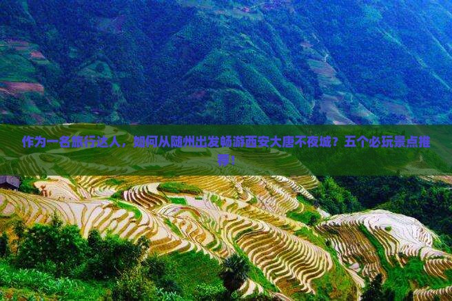 作为一名旅行达人，如何从随州出发畅游西安大唐不夜城？五个必玩景点推荐！
