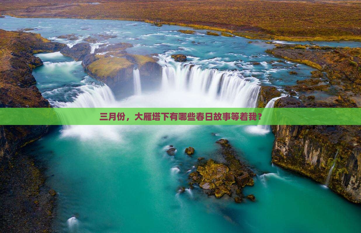 三月份，大雁塔下有哪些春日故事等着我？