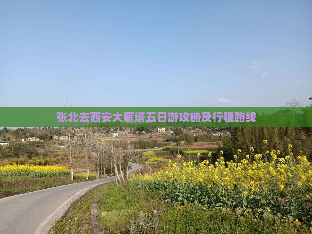 张北去西安大雁塔五日游攻略及行程路线