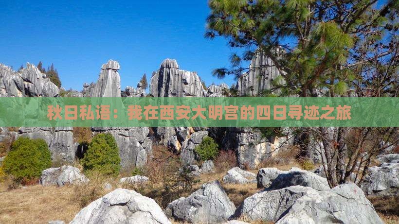 秋日私语：我在西安大明宫的四日寻迹之旅