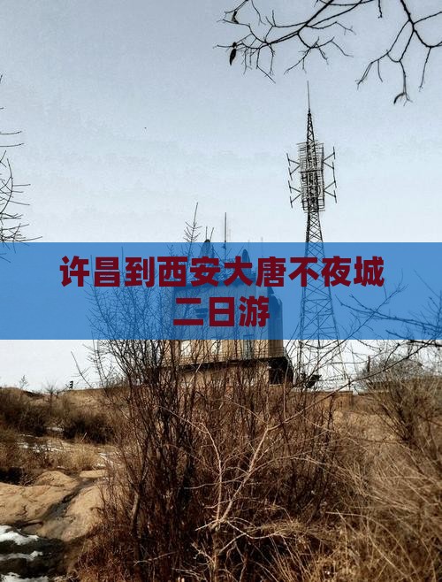许昌到西安大唐不夜城二日游