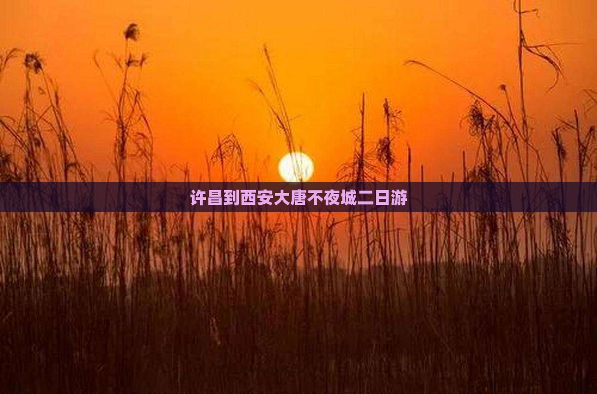 许昌到西安大唐不夜城二日游