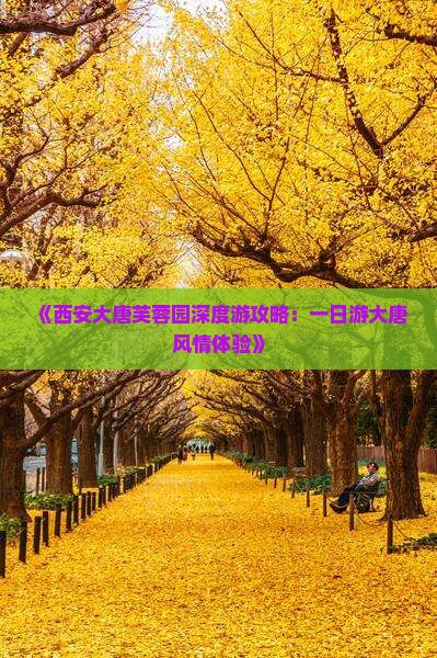 《西安大唐芙蓉园深度游攻略：一日游大唐风情体验》