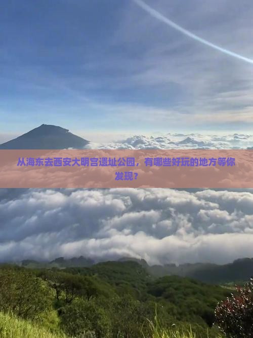 从海东去西安大明宫遗址公园，有哪些好玩的地方等你发现？