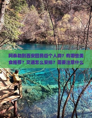 阿泰勒到西安回民街个人游？有哪些美食推荐？交通怎么安排？需要注意什么？