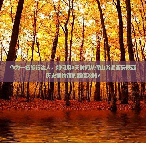 作为一名旅行达人，如何用4天时间从保山游遍西安陕西历史博物馆的超值攻略？