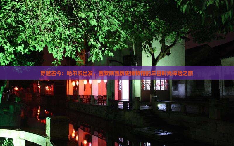 穿越古今：哈尔滨出发，西安陕西历史博物馆的三日时光探险之旅