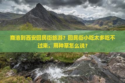 商洛到西安回民街旅游？回民街小吃太多吃不过来，用种草怎么说？